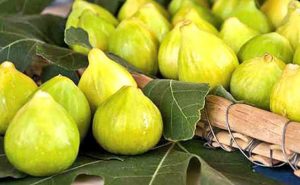 fichi del cosentino